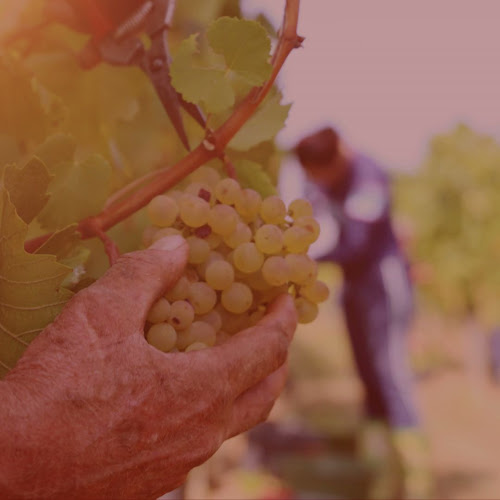 Stapleton Court, 7 The Ramparts, Marshes Lower, Dundalk, Co. Louth, A91 F448