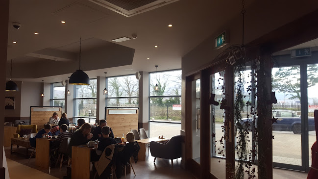 Opinii despre The Bookshelf Tralee în Tralee - Hospitality and gastronomy