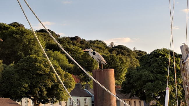 Pier House Bar - Hospitality and gastronomy