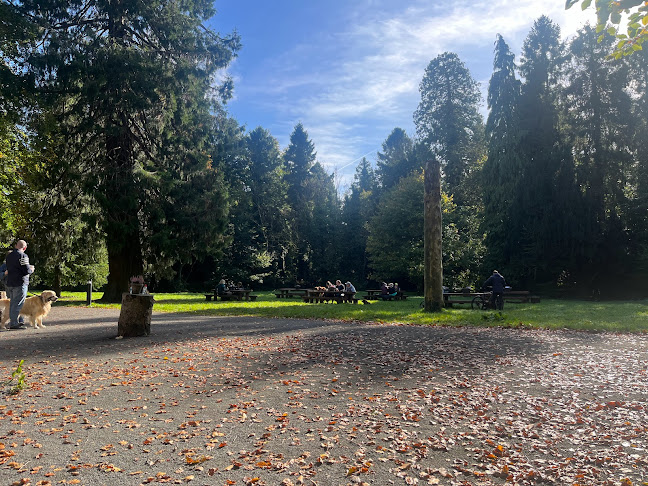 Comentarii opinii despre Donadea Coffee House