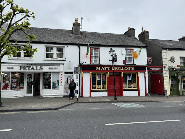 Matt Molloy's - Hospitality and gastronomy