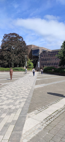 Comentarii opinii despre Eden Restaurant | University of Limerick