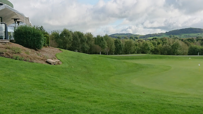 Vines Grill & Wine Bar