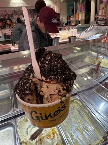 Gino's Gelato | Traditional Homemade Italian Ice Cream - Galway