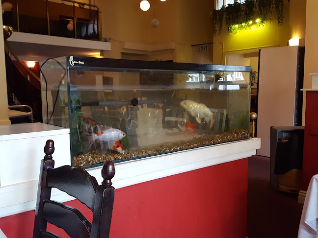 Opinii despre Yummy Asian Street Food în Sligo - Hospitality and gastronomy