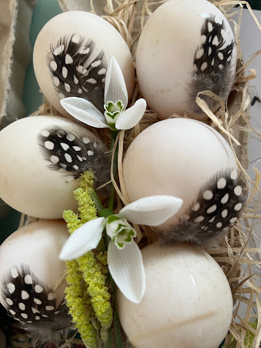 Digby Bridge Cafe - Hospitality and gastronomy