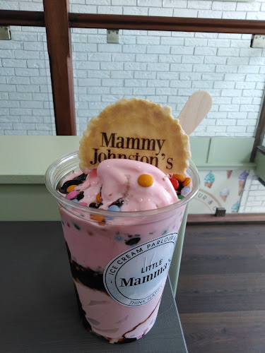 Comentarii opinii despre Little Mamma’s Gelato