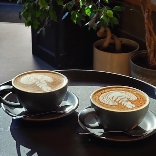The Bookshelf at The Elysian - Cork