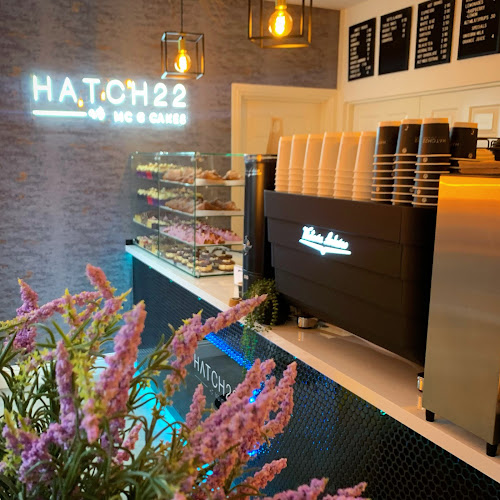 Hatch 22 - Hospitality and gastronomy
