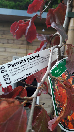 Woodfield Cafe and Garden Centre - Hospitality and gastronomy