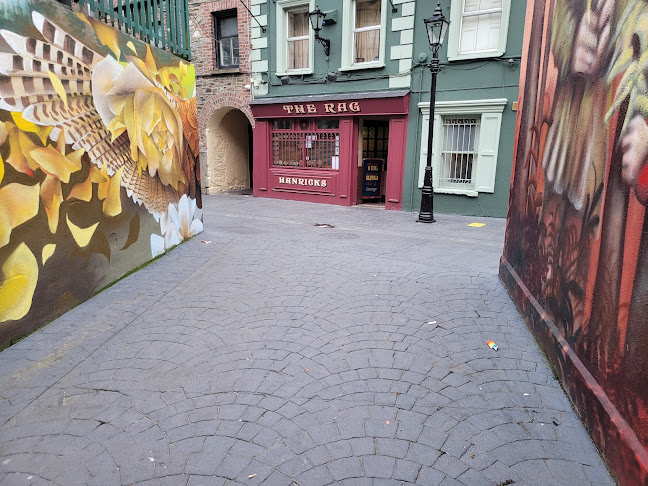Opinii despre The Rag în New Ross - Hospitality and gastronomy