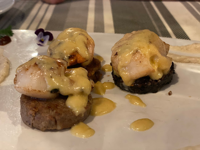 Comentarii opinii despre The Brown Morel