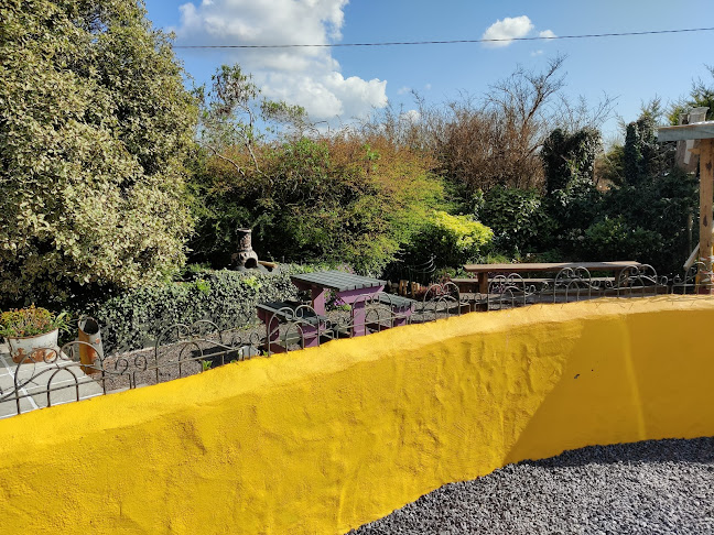 The Yellow House Coffee Bar - Hospitality and gastronomy