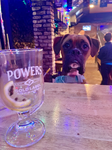 Clarke's Bar - Hospitality and gastronomy