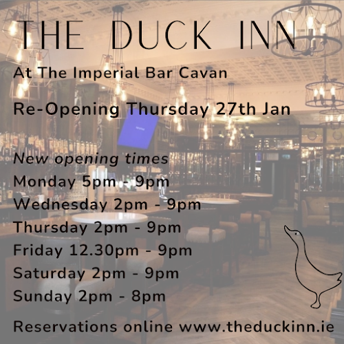 Comentarii opinii despre The Duck Inn