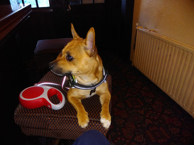 Miley's Blessington - Naas