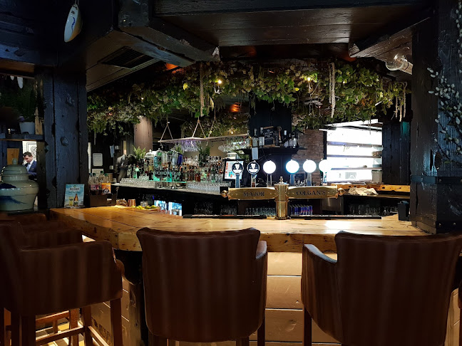 Comentarii opinii despre Colgans