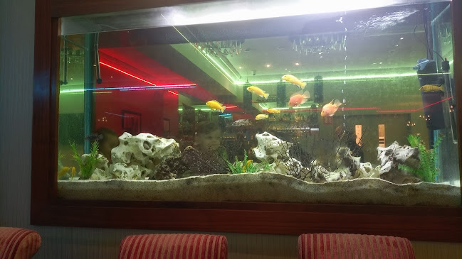 Comentarii opinii despre The Silver Oak Indian Restaurant