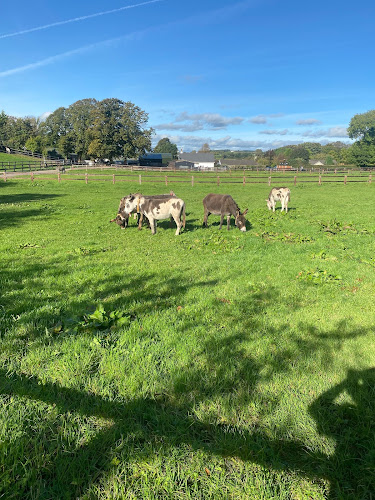 Comentarii opinii despre The Old Walls