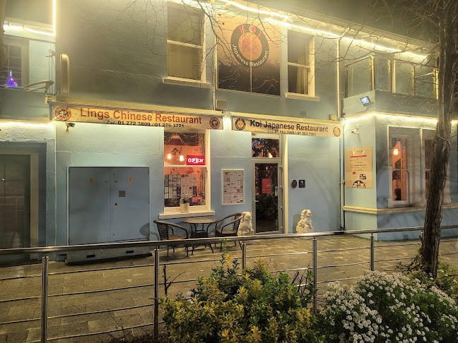 Koi Japanese Restaurant - Bray