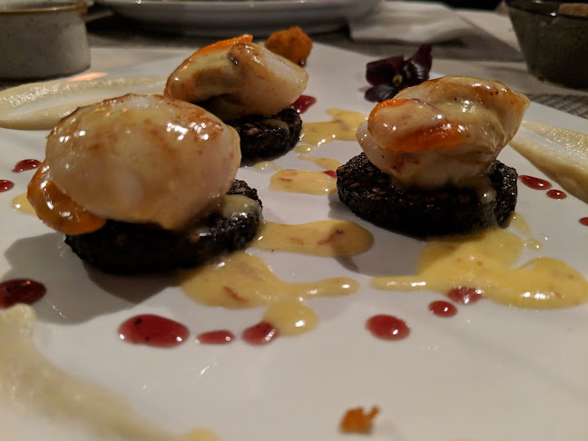 The Brown Morel - Newcastle West