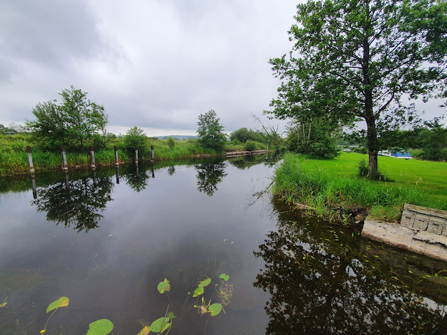 Comentarii opinii despre The Silver Eel