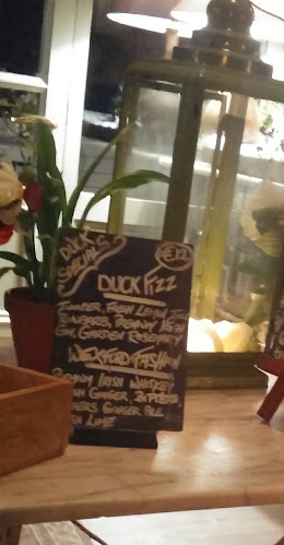 Comentarii opinii despre The Duck Restaurant