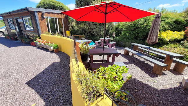 Gloun North, SHANLARAGH, DUNMANWAY, Co. Cork, P47 K378