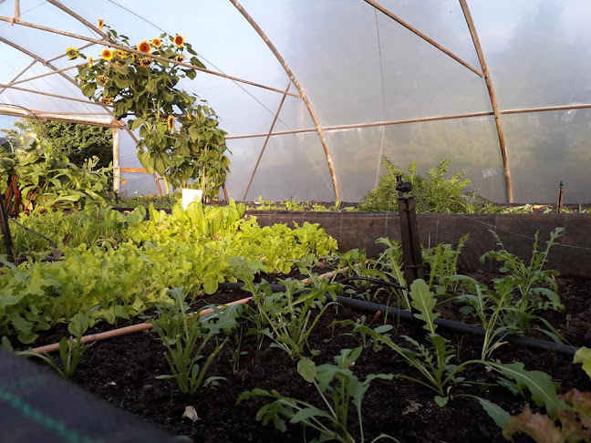 Comeragh Mountain Farm - Hospitality and gastronomy