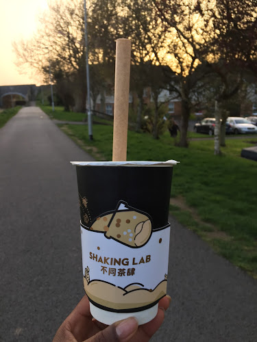 Shaking Tang - Maynooth