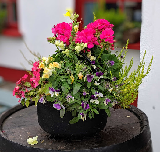 Comentarii opinii despre Thomas O'Keeffe's