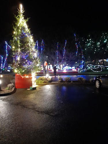 Comentarii opinii despre Quigleys Bar