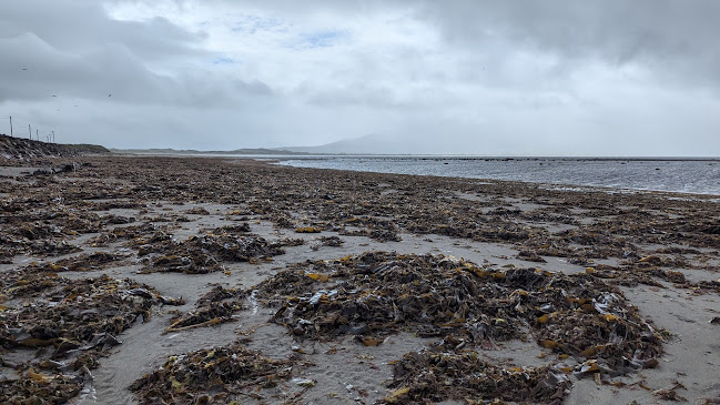 Spillane's Bar & Restaurant - Hospitality and gastronomy