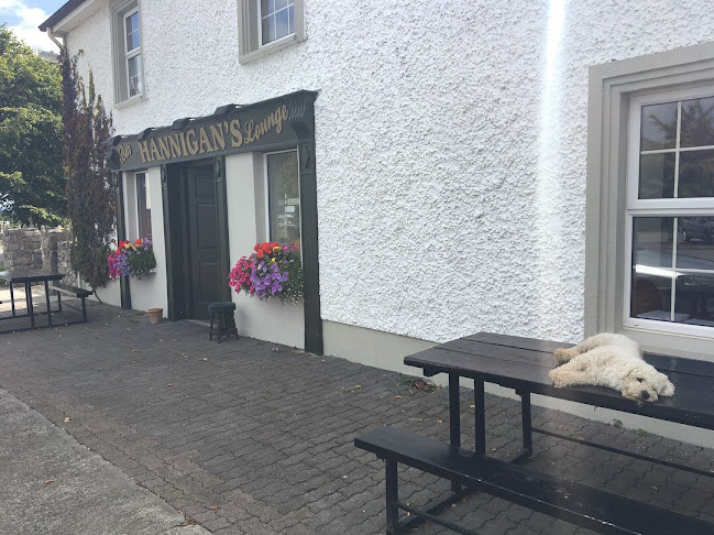Hannigan's Bar - Hospitality and gastronomy
