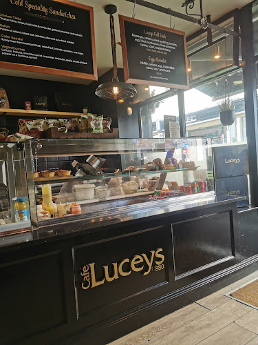 Lucey's Café 1880 - Hospitality and gastronomy