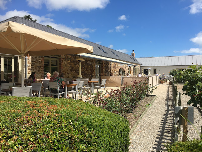 The Duck Restaurant - Hospitality and gastronomy