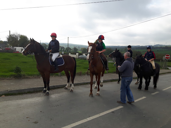 Paddy Ryan's Pub - Waterford