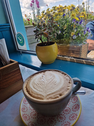 The Salty Fox - Bundoran