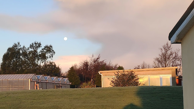 The Sanctuary Cafe - Muff