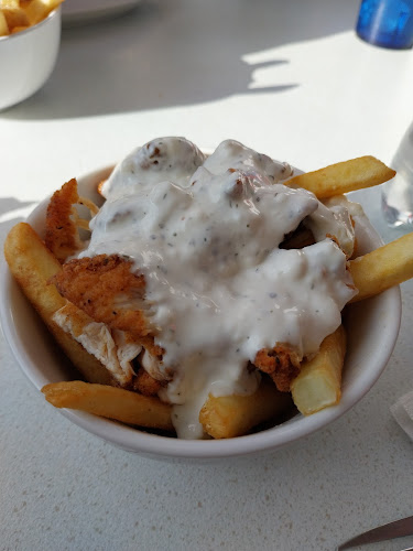 Shake Dog - Hospitality and gastronomy