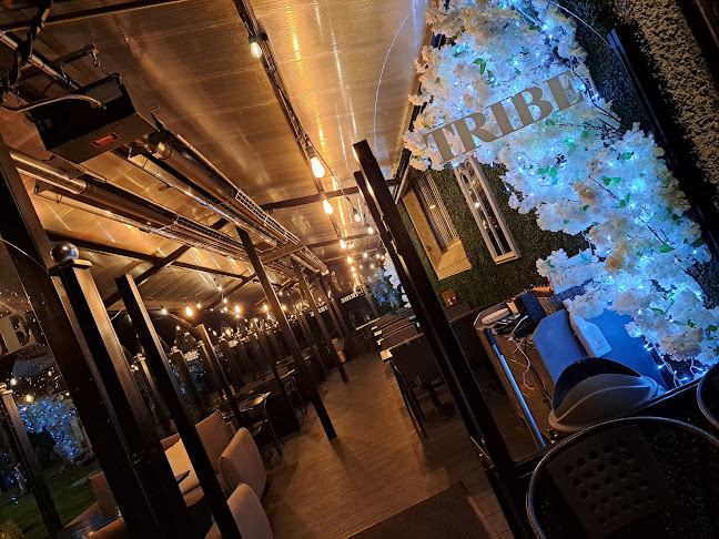 Comentarii opinii despre Tribe Restaurant Duleek