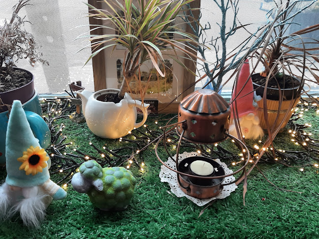 O'Brien St, Curragh, Kanturk, Co. Cork, P51 FK19