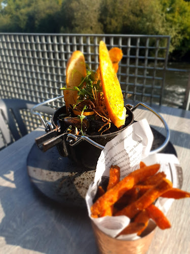 Salmon Weir, Rivers, Annacotty, Co. Limerick, V94 ETY3