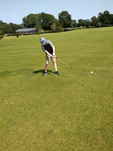 Comentarii opinii despre The Tree House Café