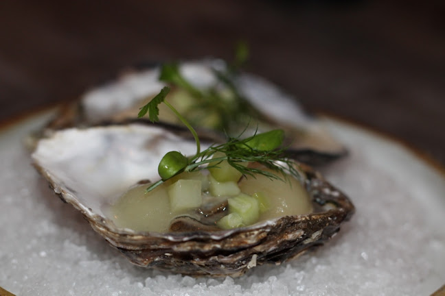 Lobstar - Hospitality and gastronomy