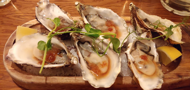 BlackCat - wine - tapas - rooms - Hospitality and gastronomy