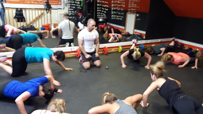 Comentarii opinii despre Twist Food services