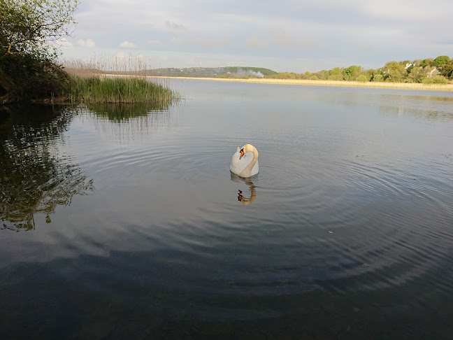 Comentarii opinii despre Rostellan Coffee Shop