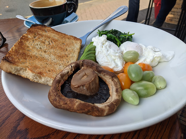 Green Onion Café - Hospitality and gastronomy