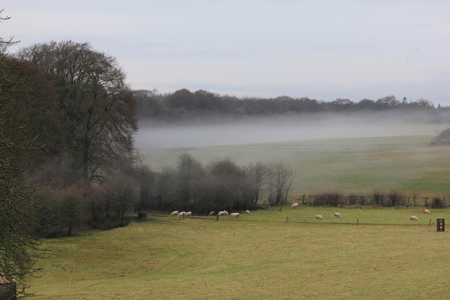 Castlewood Farm - Hospitality and gastronomy